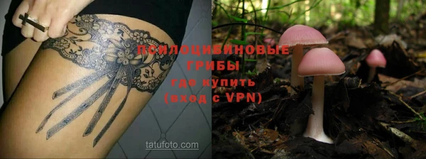 ALPHA PVP Арсеньев